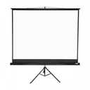 Apollo 96"x 96" Electric Projection Screen